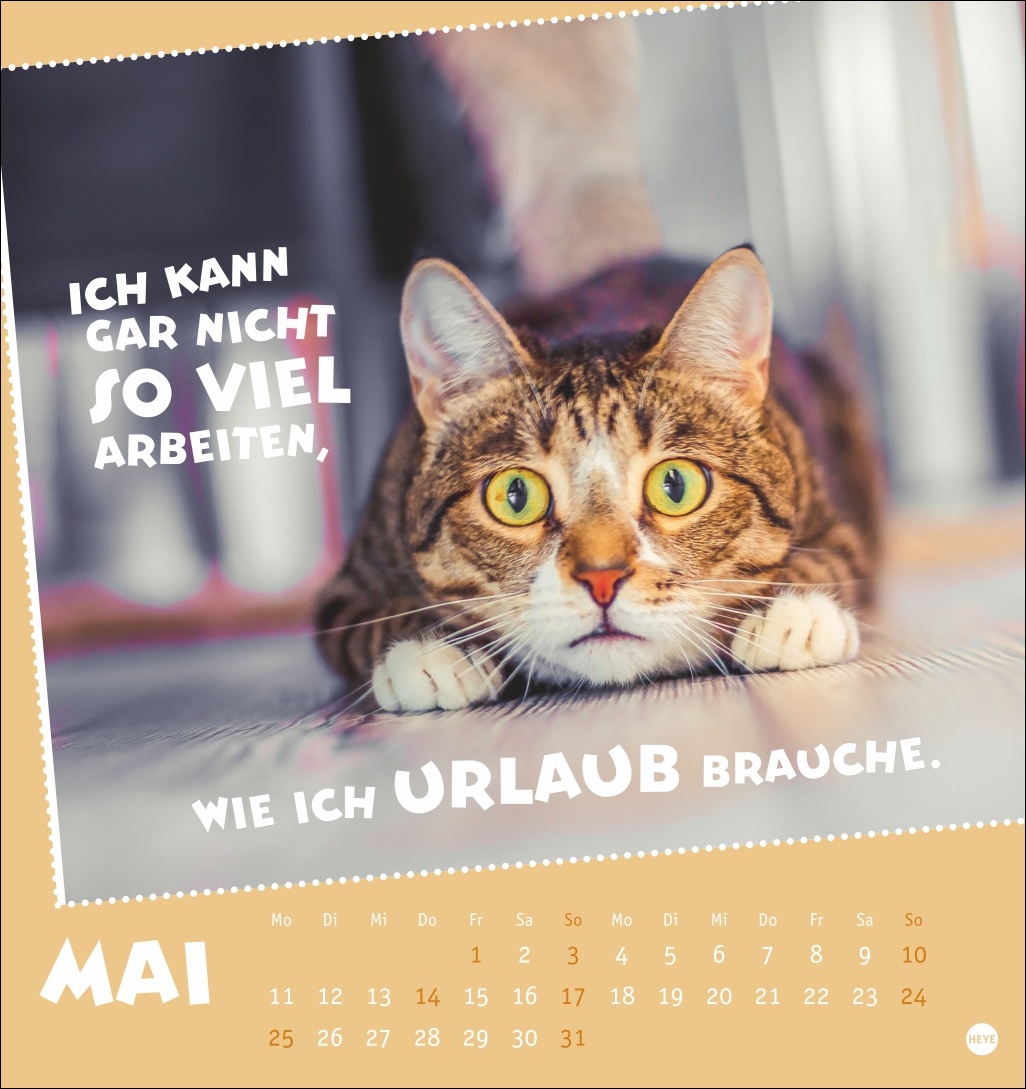 9783756411504_innenansicht_05.jpg