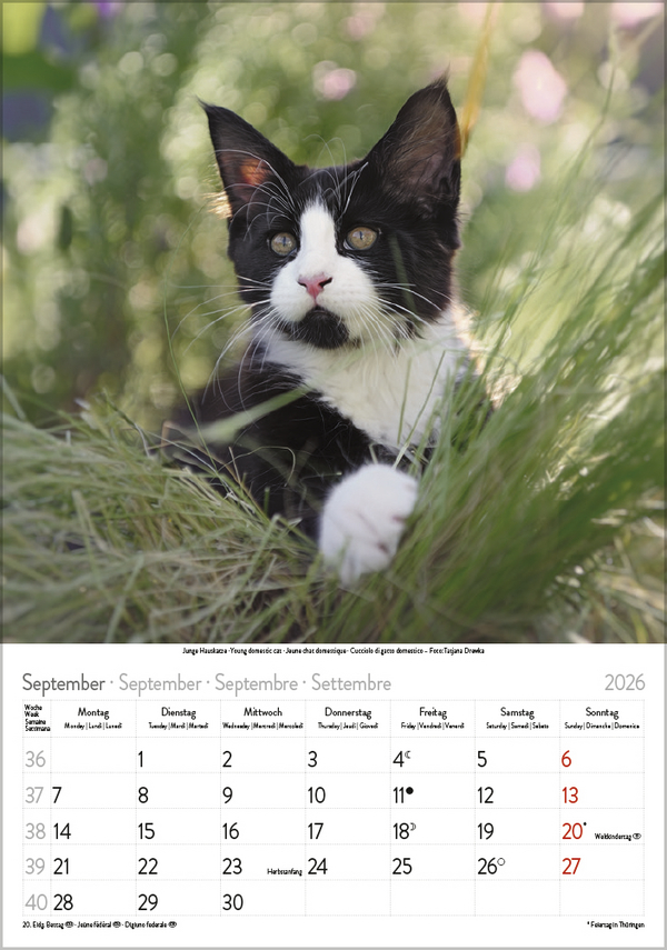 9783731883609_innenansicht_09 9783731883609_innenansicht_09.jpg