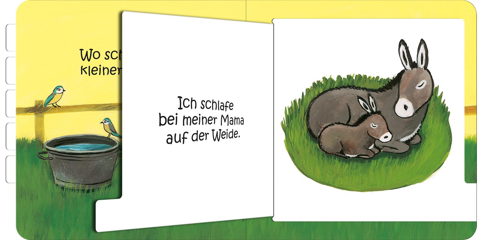 9783845857664_innenansicht_04.jpg