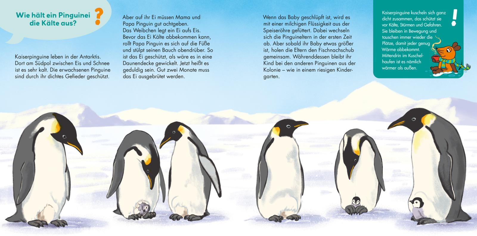 9783551253651_innenansicht_04 9783551253651_innenansicht_04.jpg