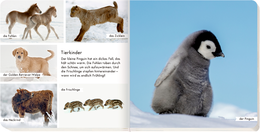 9783649639190_innenansicht_01 9783649639190_innenansicht_01.jpg