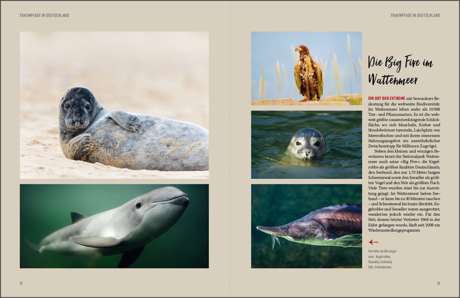 9783969651001_innenansicht_05 9783969651001_innenansicht_05.jpg