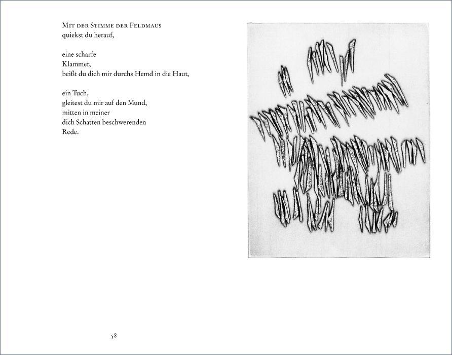 9783518224618_innenansicht_01 9783518224618_innenansicht_01.jpg