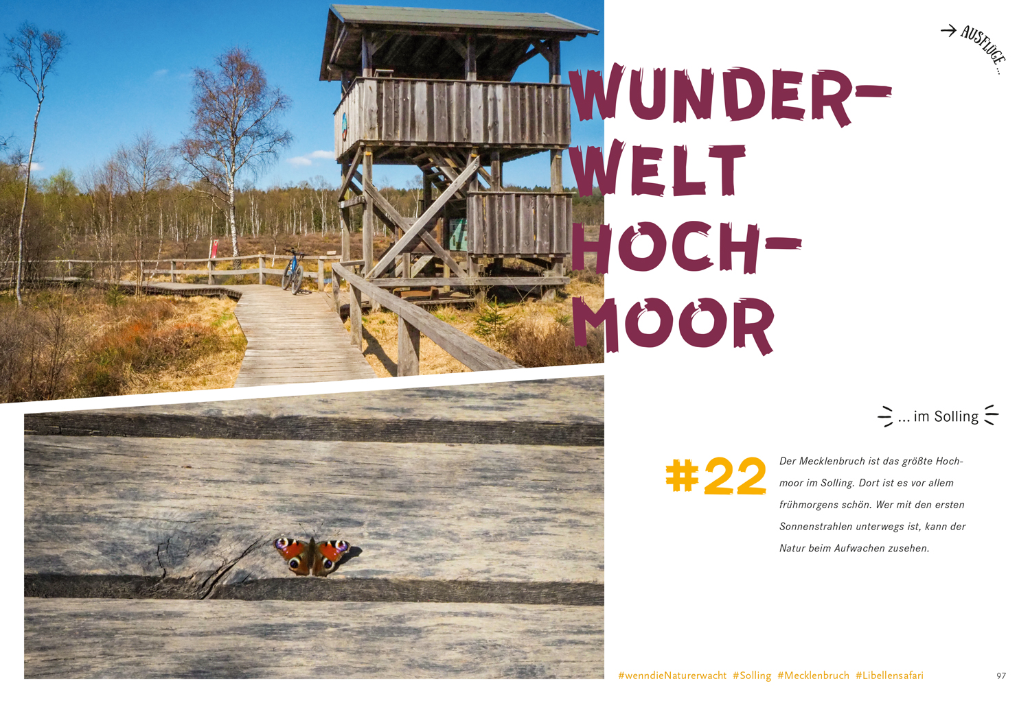 9783616028095_innenansicht_06 9783616028095_innenansicht_06.jpg