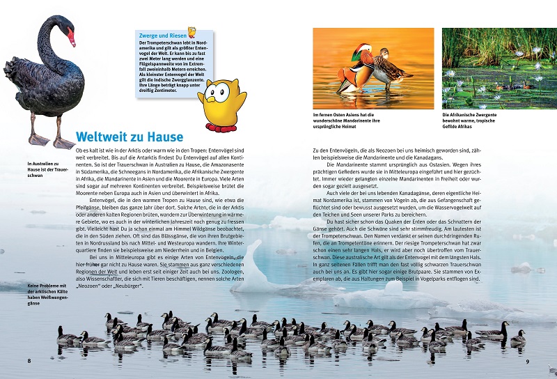 9783866594906_innenansicht_02 9783866594906_innenansicht_02.jpg