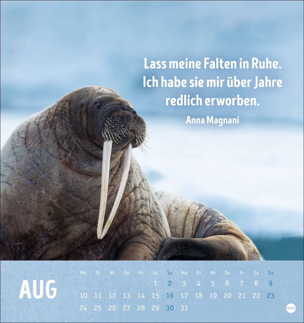 9783756413522_innenansicht_08.jpg