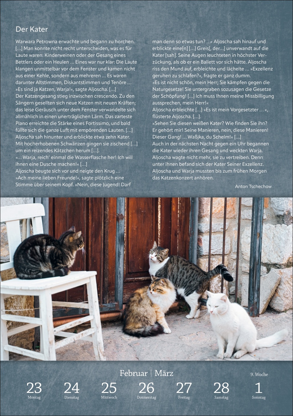 9783840036507_innenansicht_06 9783840036507_innenansicht_06.jpg