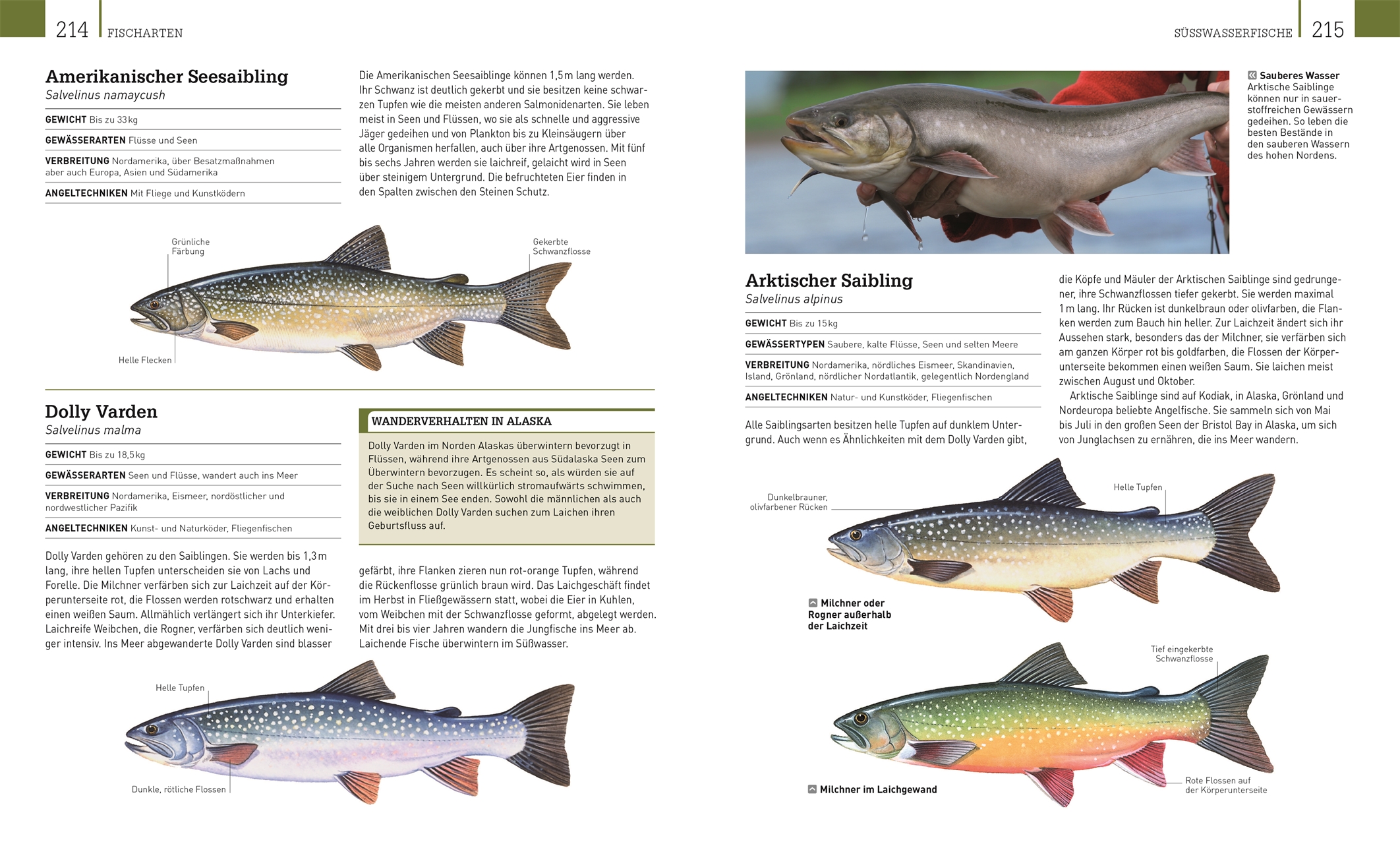 9783831044252_innenansicht_07 9783831044252_innenansicht_07.jpg