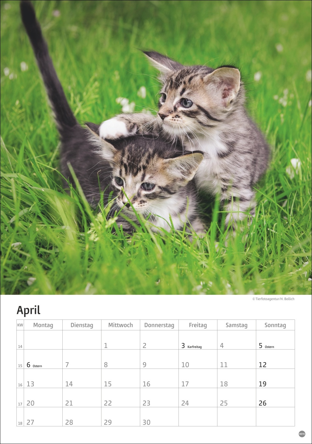 9783756411139_innenansicht_04 9783756411139_innenansicht_04.jpg