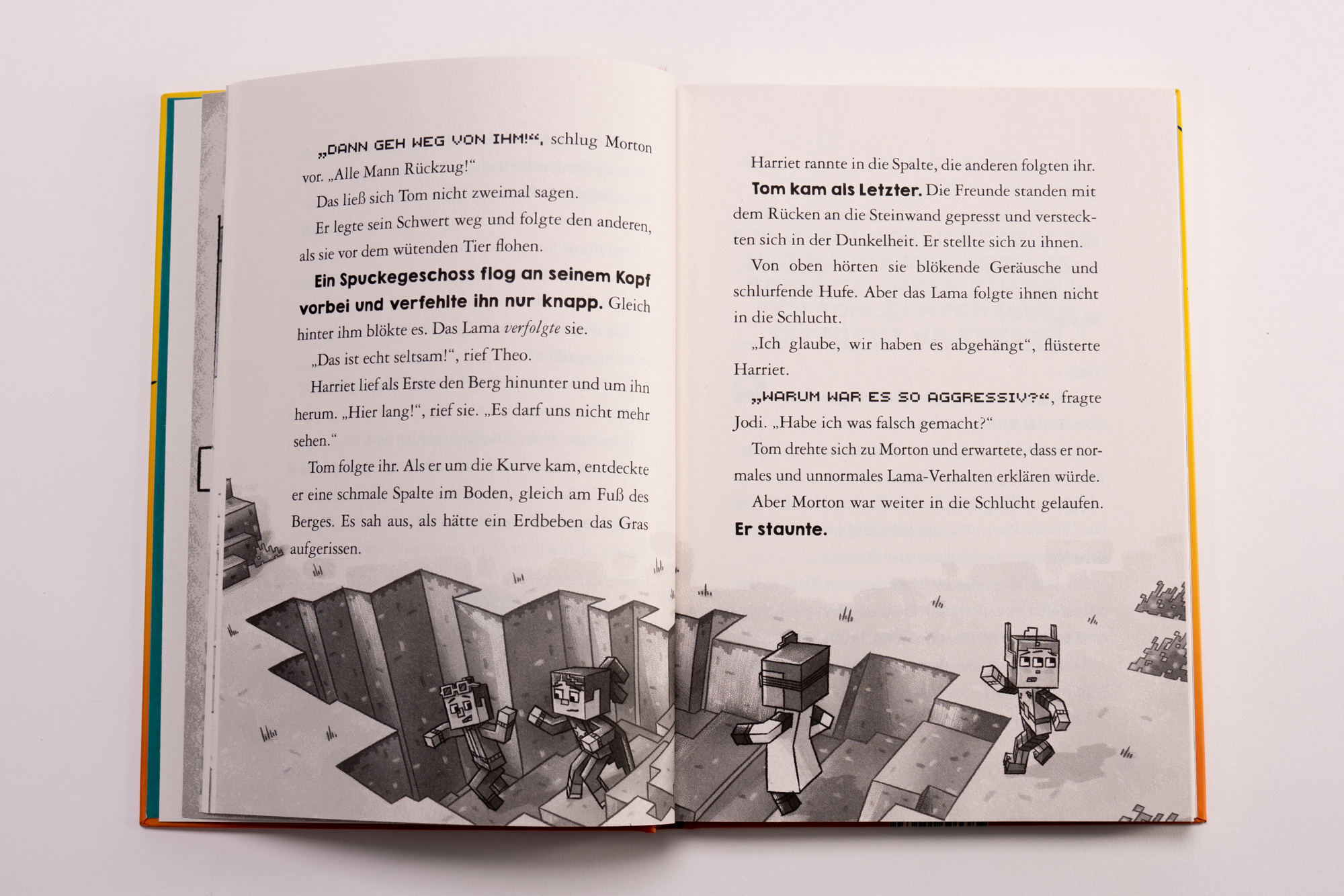9783505150630_innenansicht_05.png