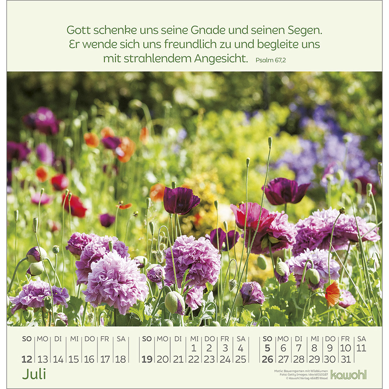9783754826065_innenansicht_07.jpg