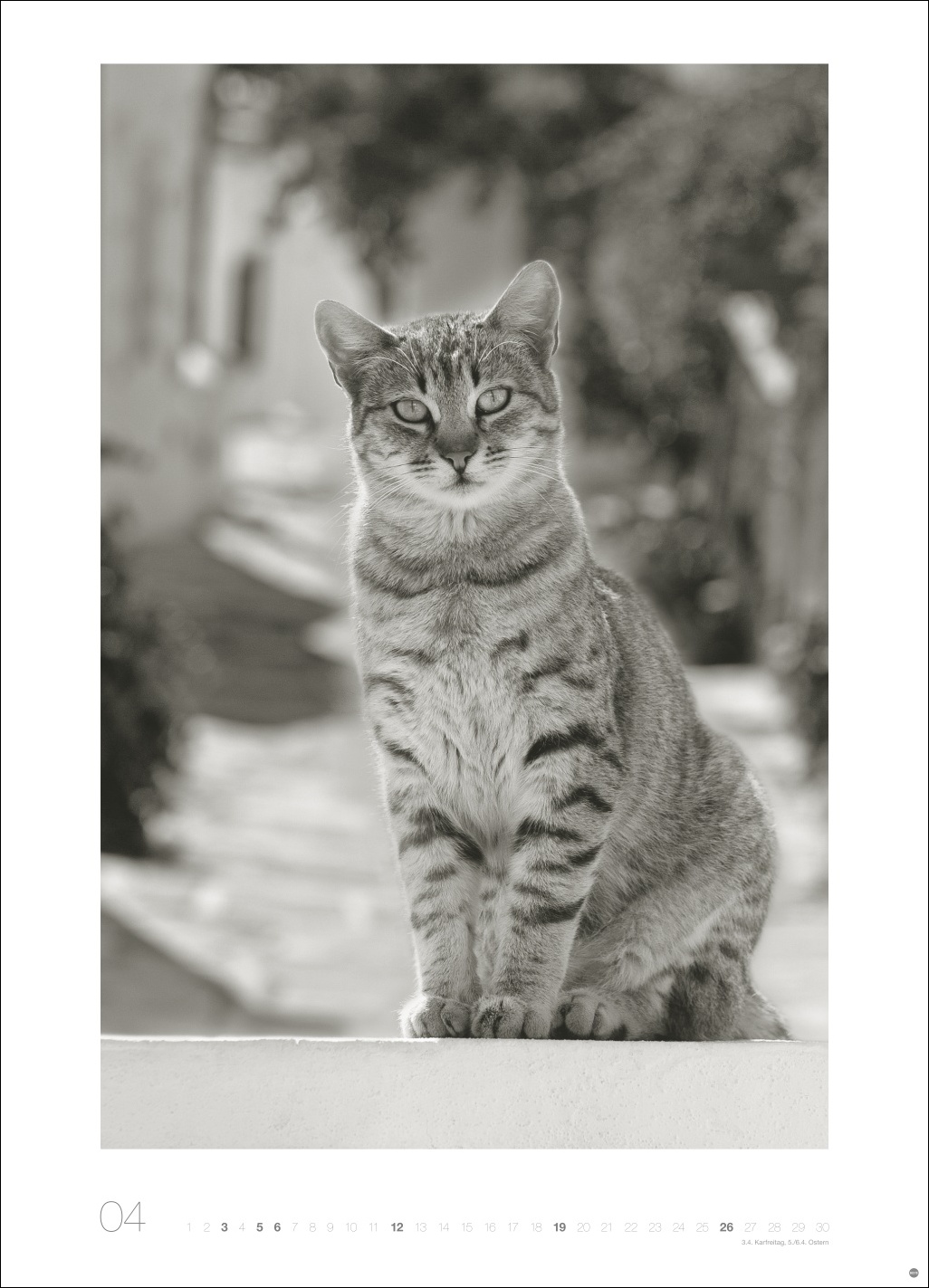 9783756411313_innenansicht_04 9783756411313_innenansicht_04.jpg