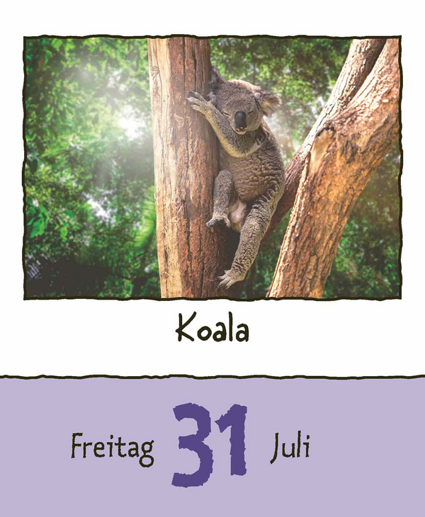 9783731889182_innenansicht_10.jpg