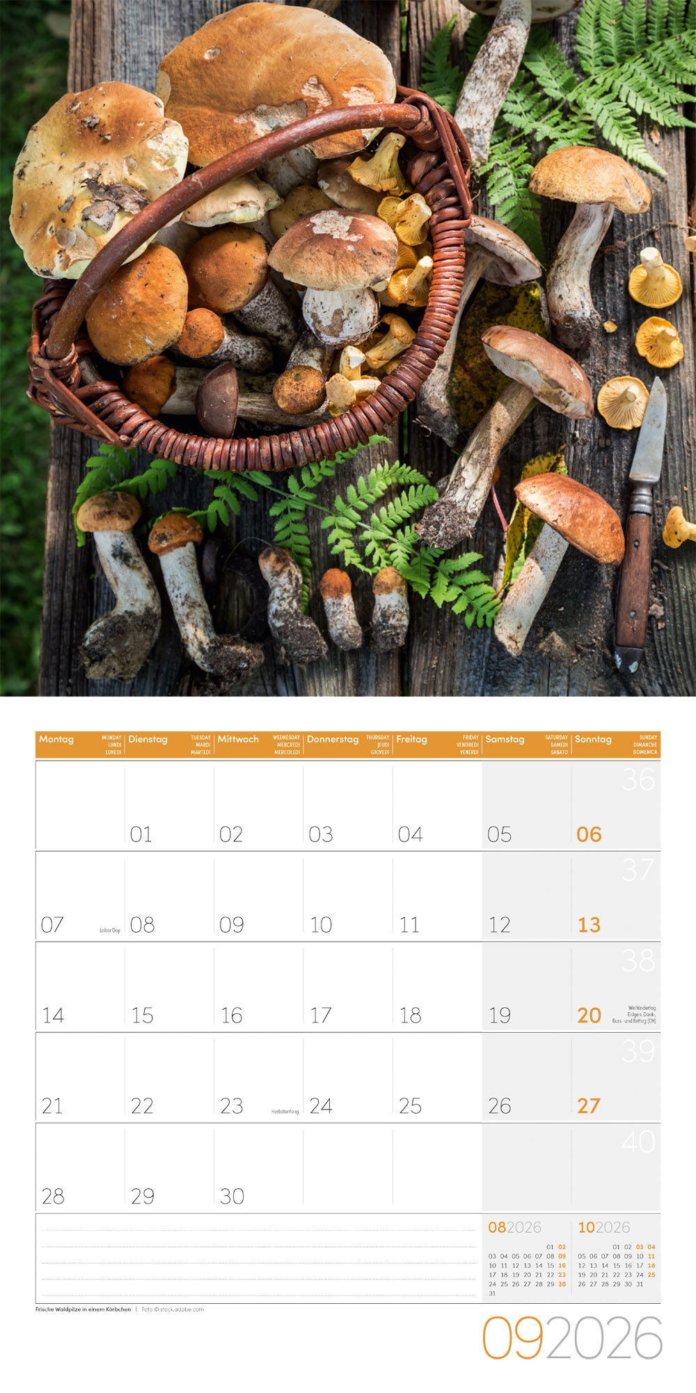 9783838446295_innenansicht_09 9783838446295_innenansicht_09.jpg