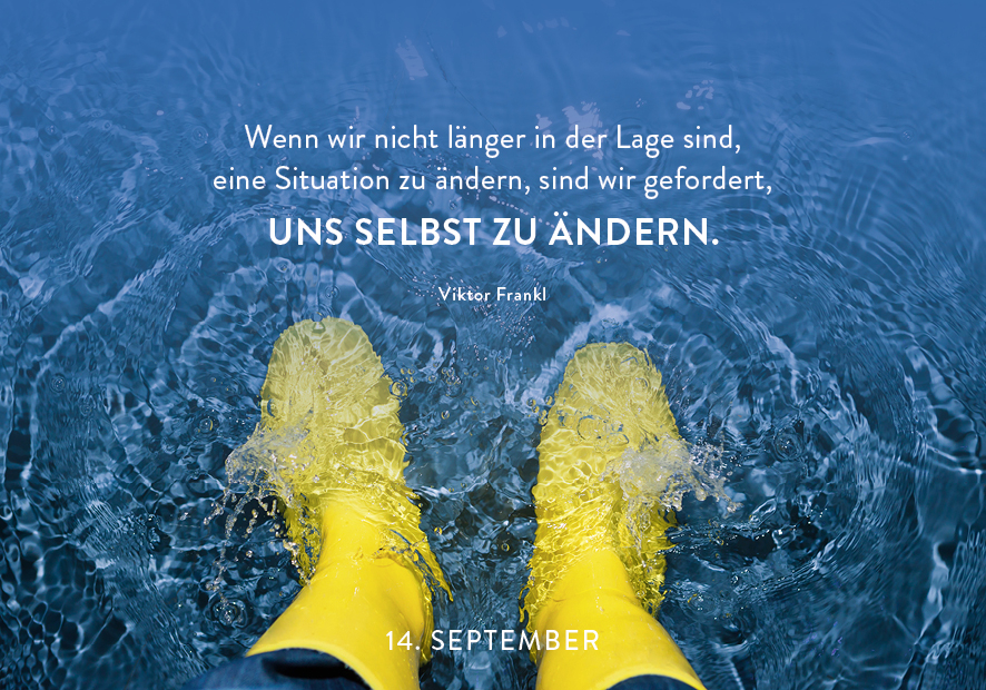 9783629009838_innenansicht_01.jpg