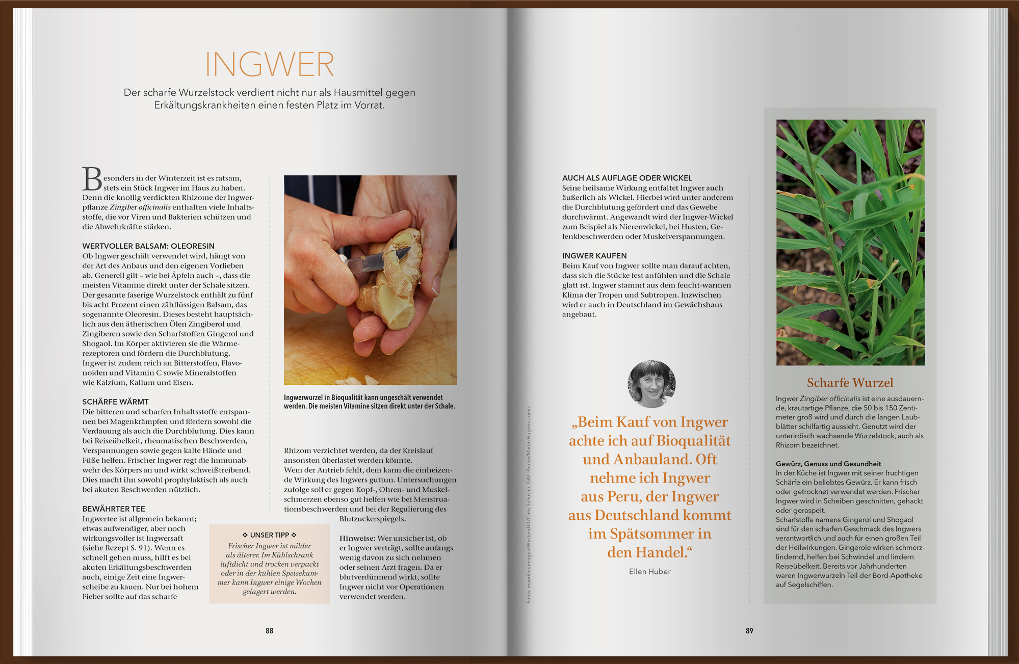 9783784357867_innenansicht_04 9783784357867_innenansicht_04.jpg