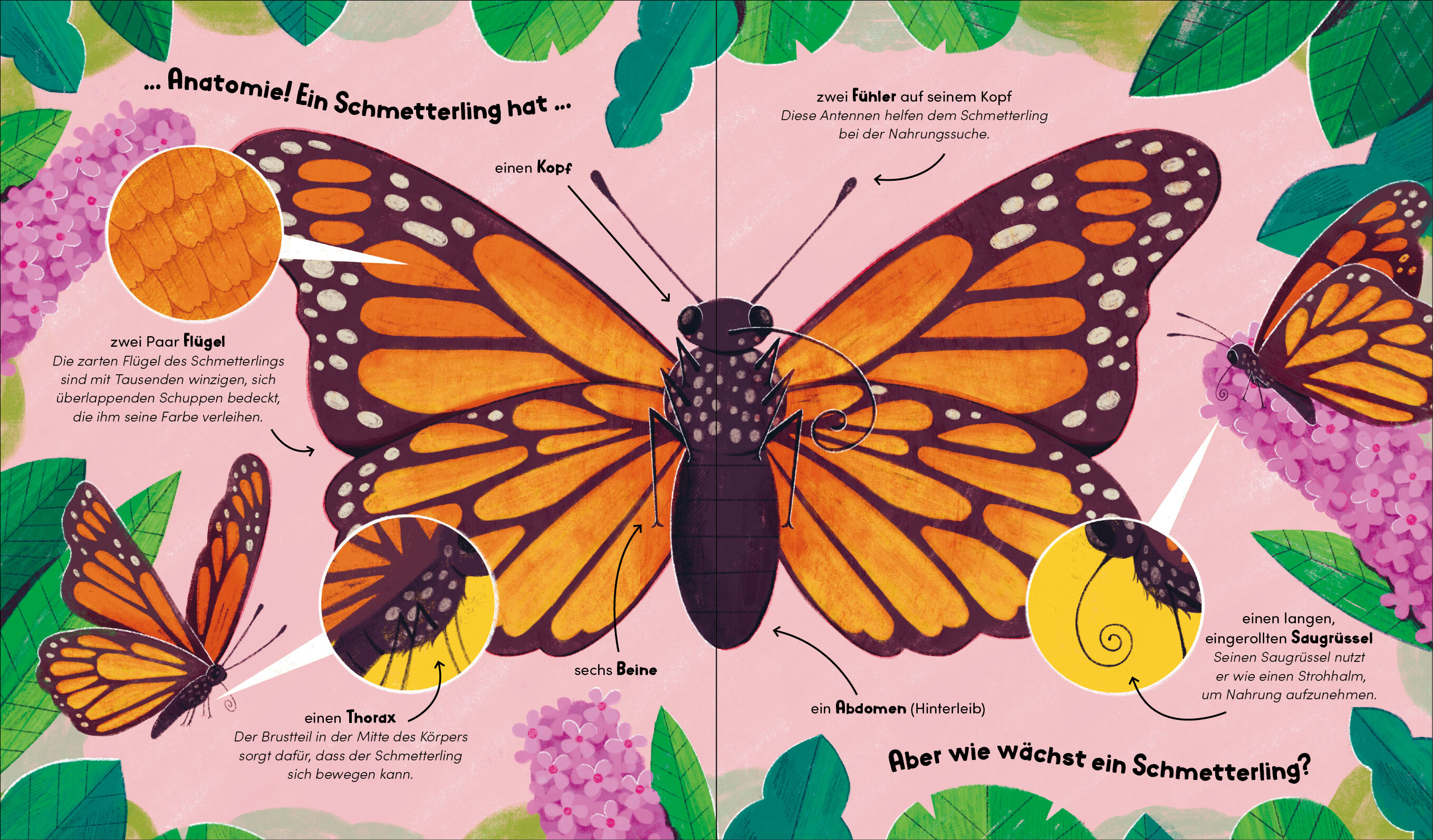 9783791376035_innenansicht_01 9783791376035_innenansicht_01.jpg