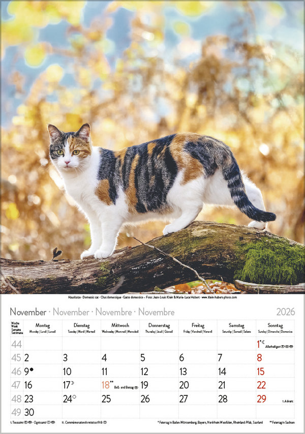 9783731883609_innenansicht_11 9783731883609_innenansicht_11.jpg