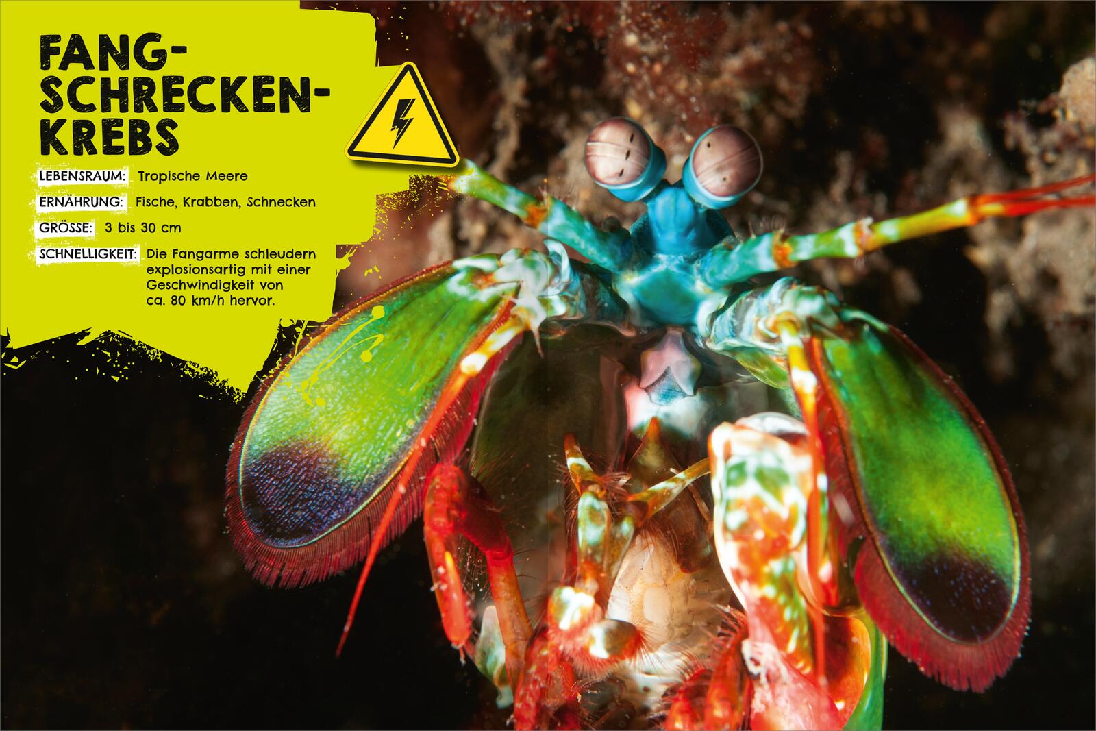 9783845862170_innenansicht_02 9783845862170_innenansicht_02.jpg