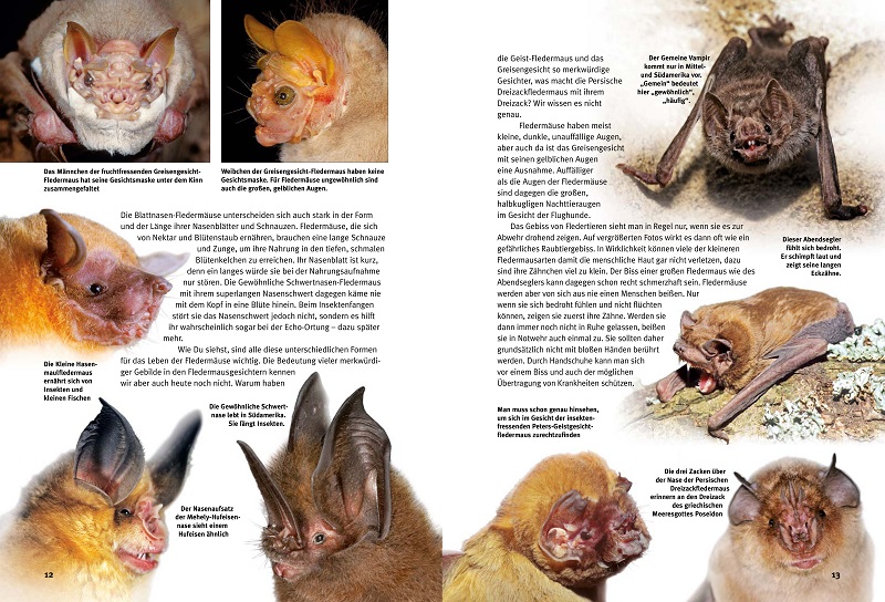 9783866595026_innenansicht_02 9783866595026_innenansicht_02.jpg