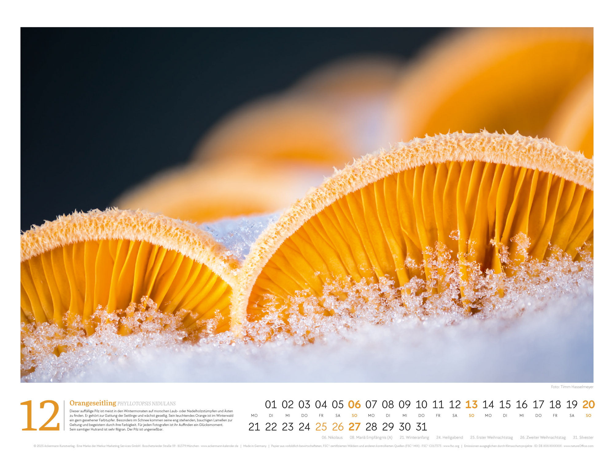 9783838436333_innenansicht_12 9783838436333_innenansicht_12.jpg