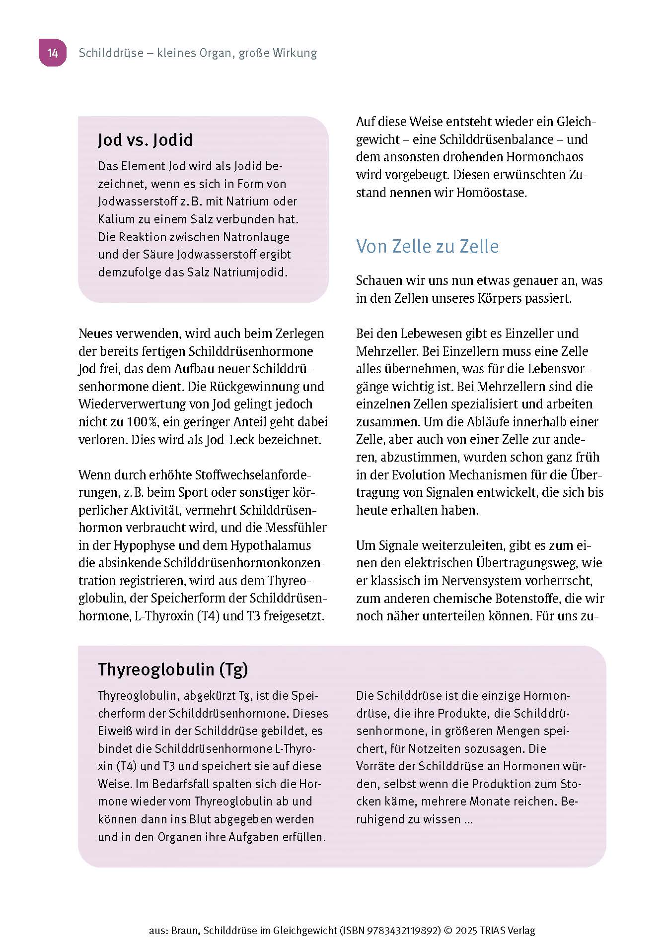 9783432119892_innenansicht_08.jpg