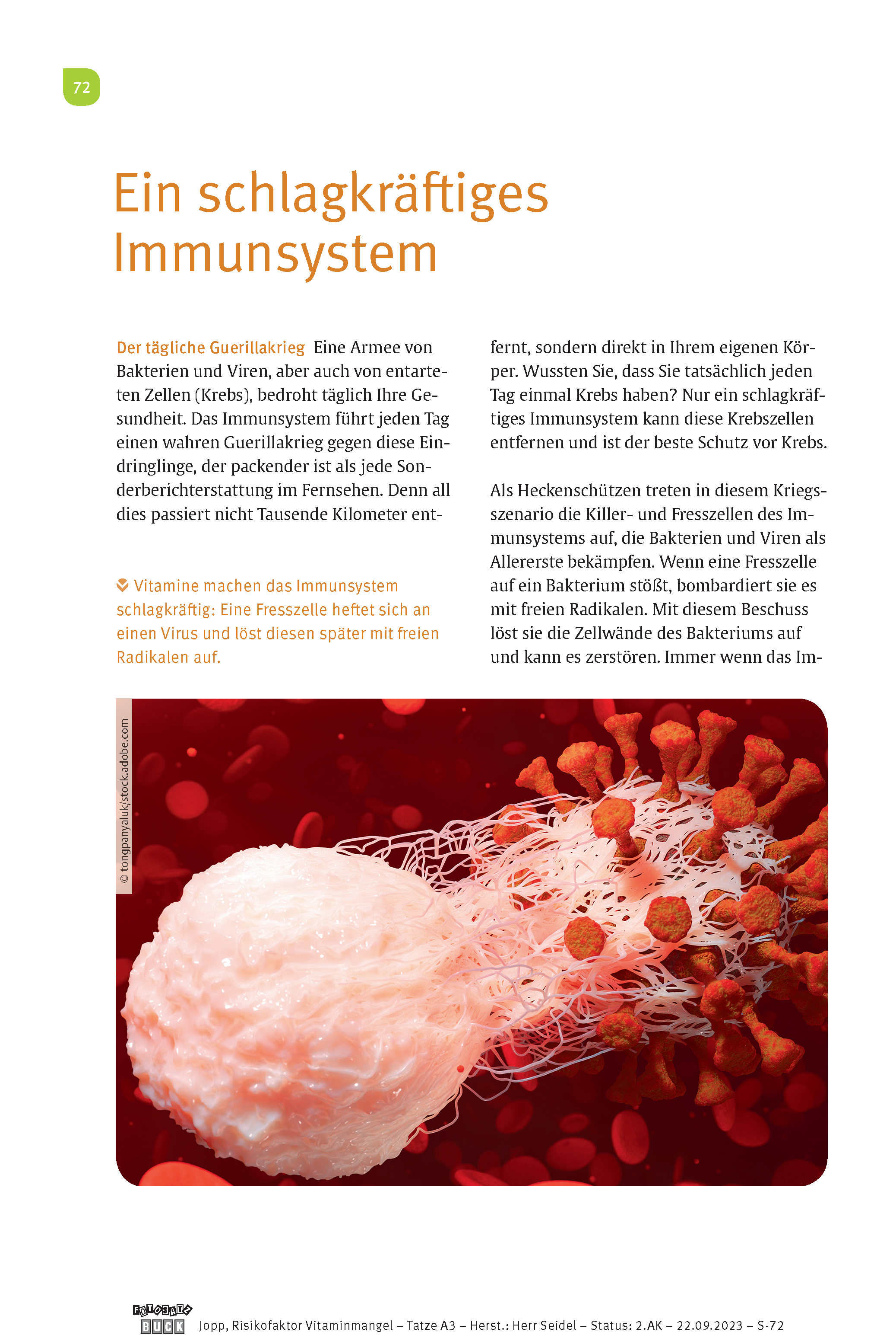 9783432116006_innenansicht_08 9783432116006_innenansicht_08.png