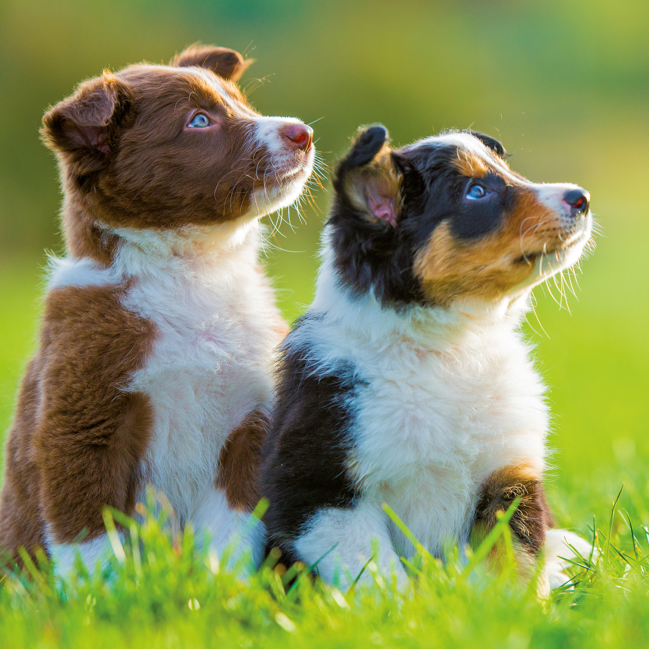 9783959295888_innenansicht_05 9783959295888_innenansicht_05.jpg