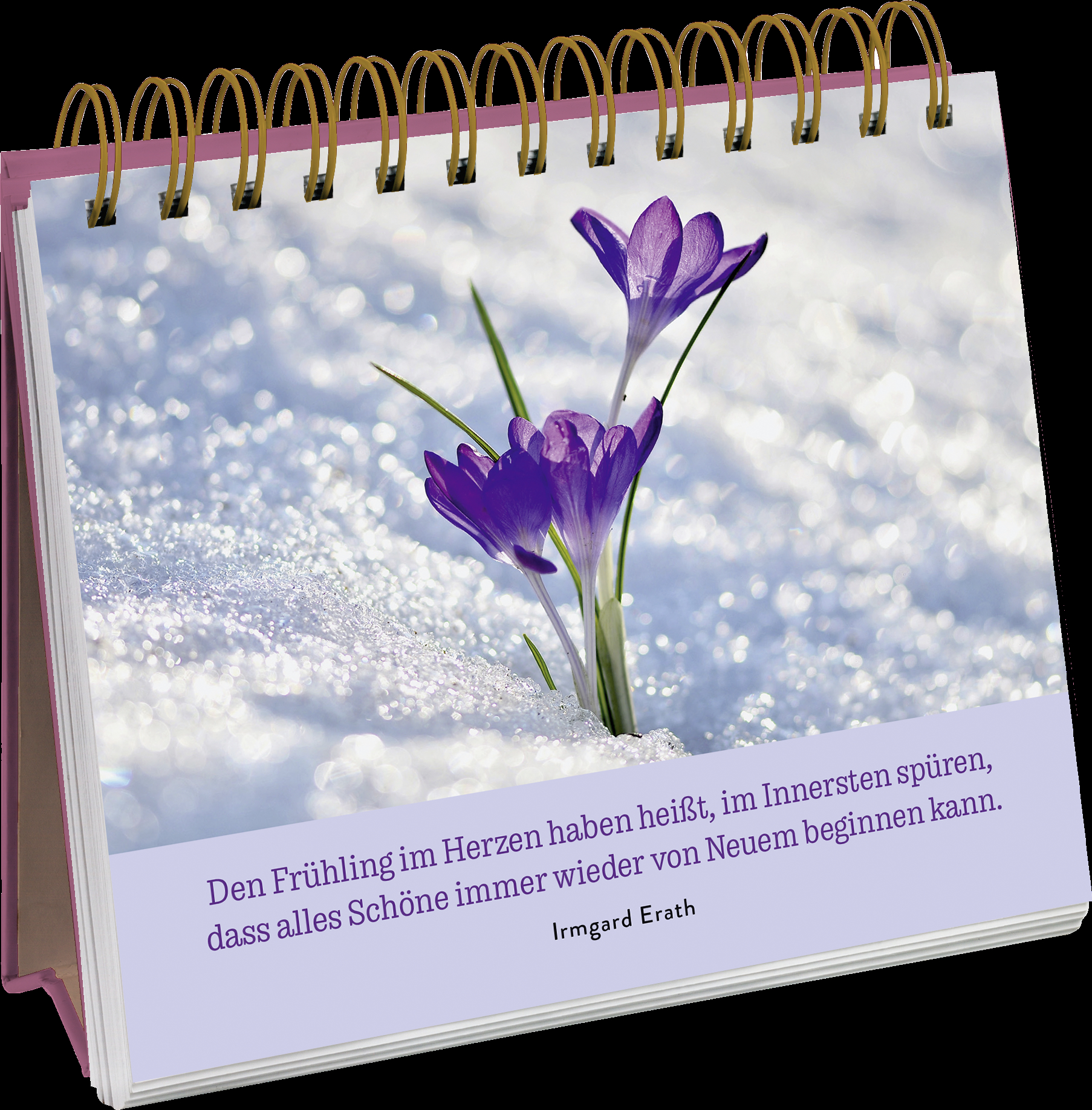 9783848501380_innenansicht_03.jpg