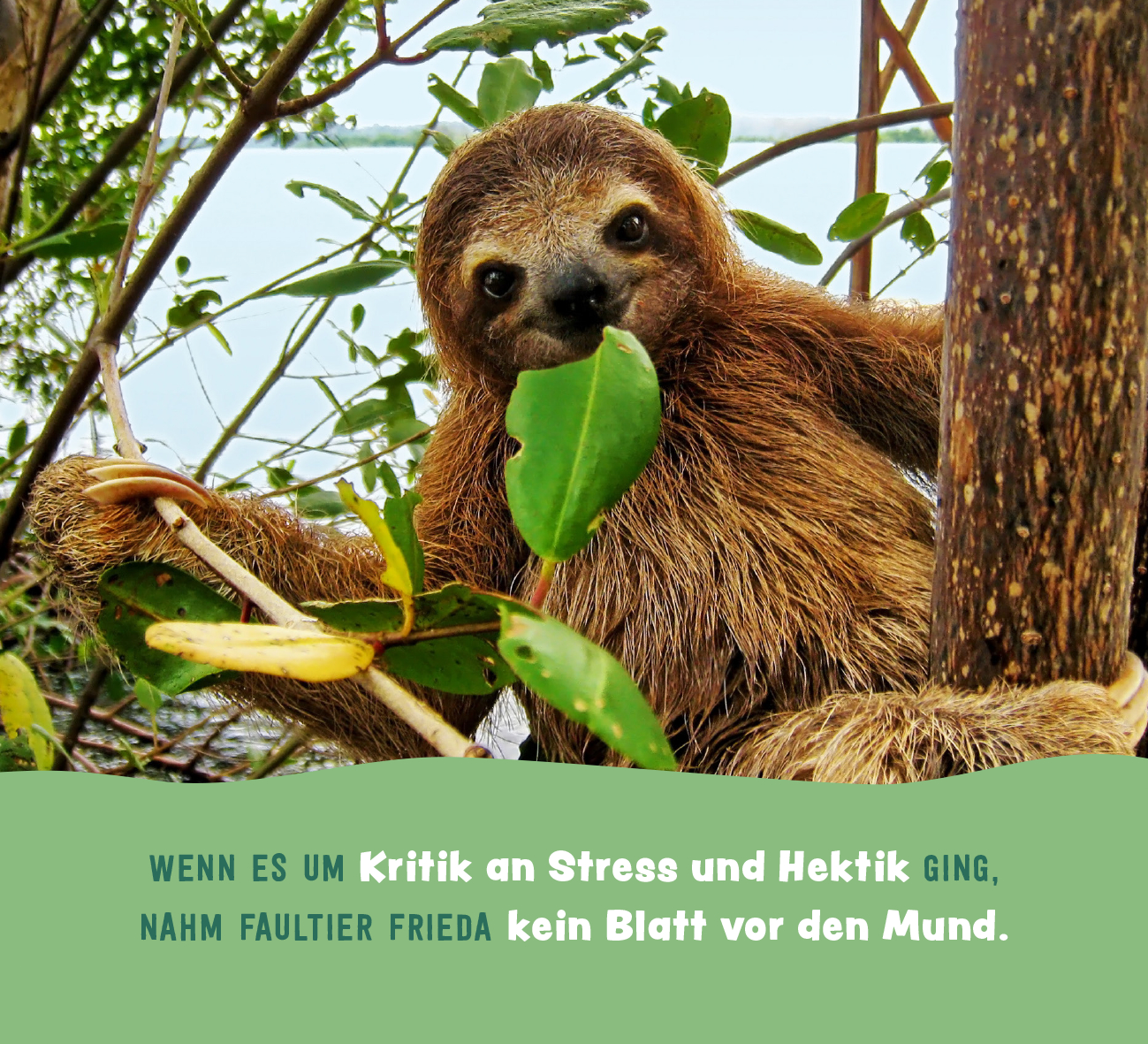 9783848502813_innenansicht_04.jpg