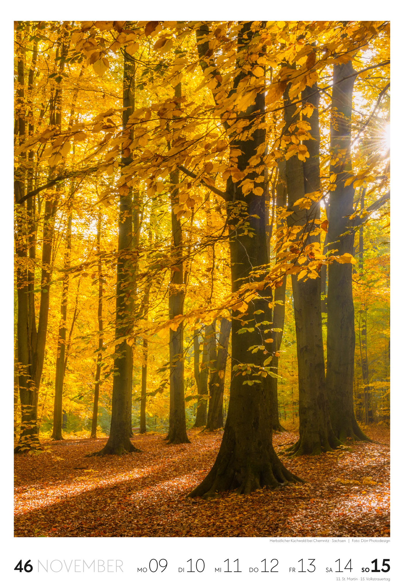 9783838436456_innenansicht_46.jpg