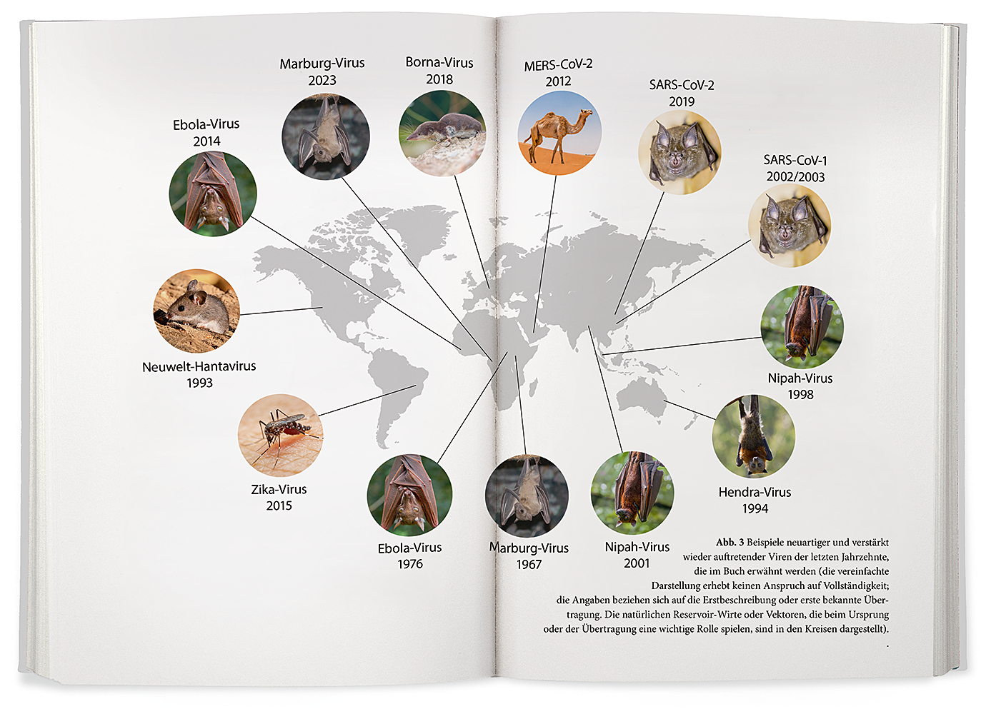 9783426278987_innenansicht_03 9783426278987_innenansicht_03.jpg