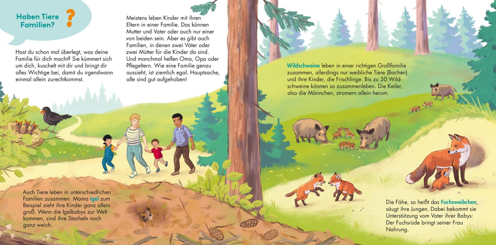 9783551253651_innenansicht_01 9783551253651_innenansicht_01.jpg