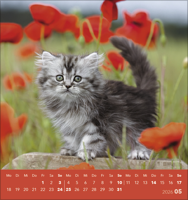 9783731884071_innenansicht_05 9783731884071_innenansicht_05.jpg