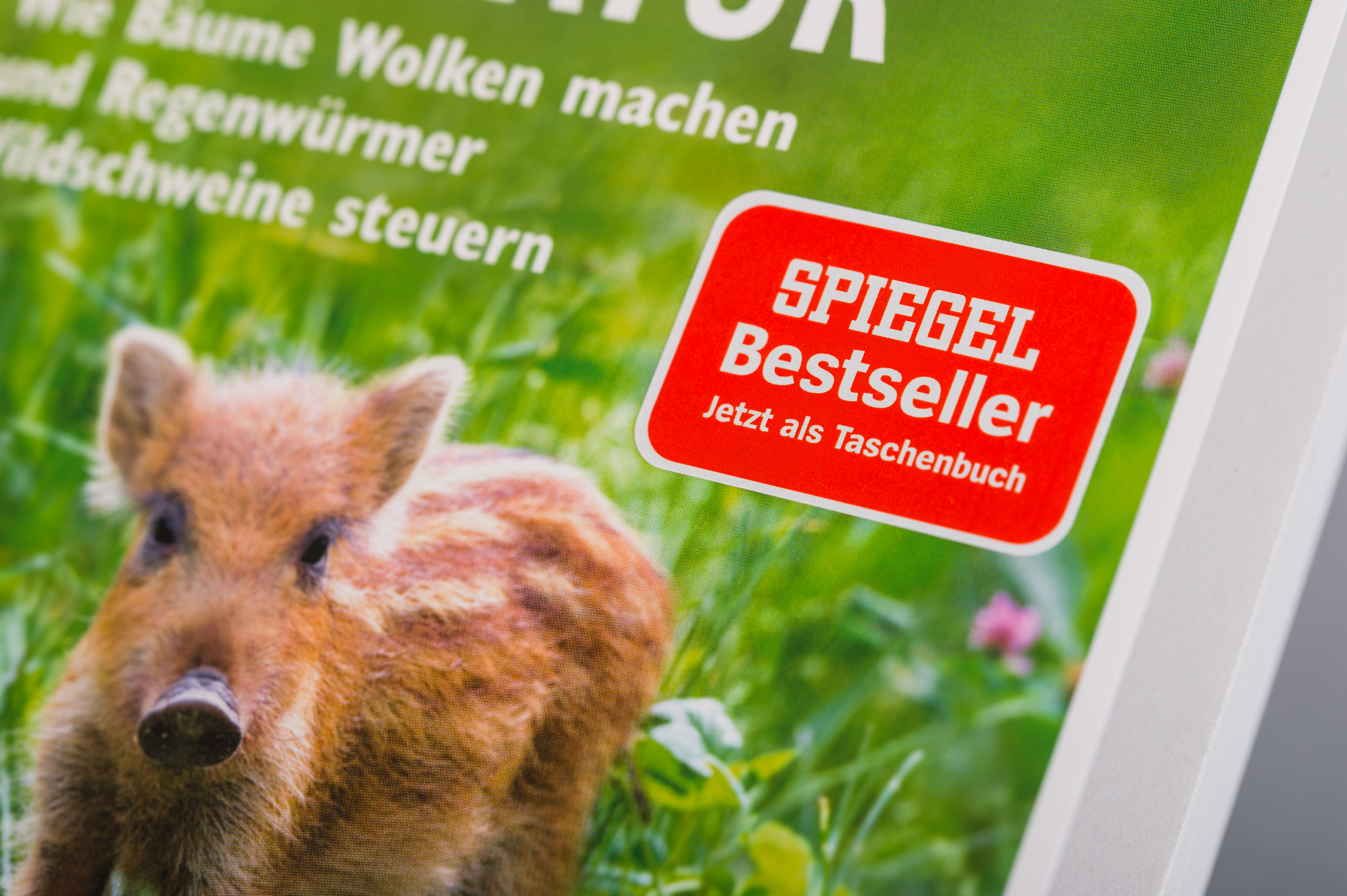 9783453605619_innenansicht_03.jpg
