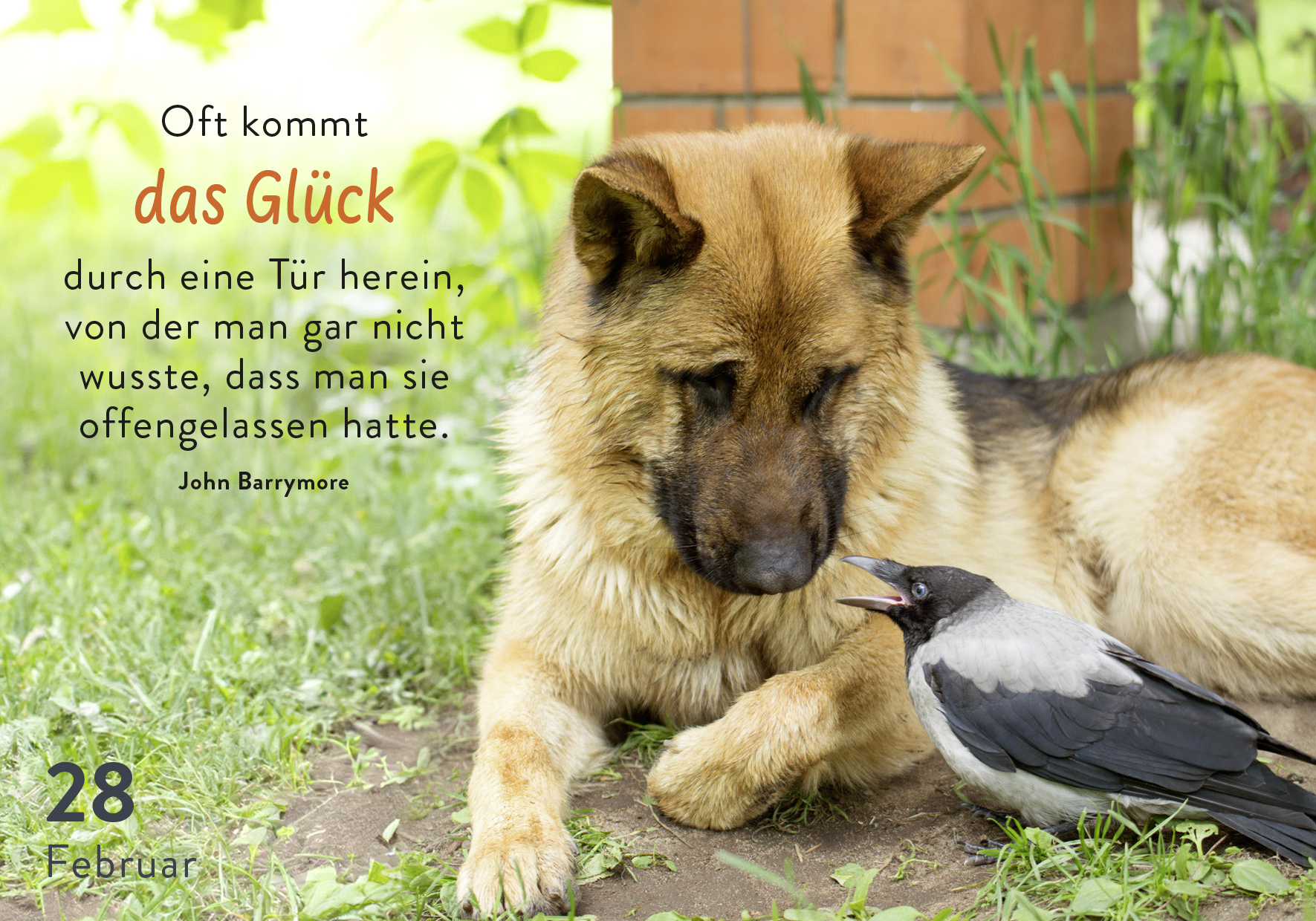 9783629010933_innenansicht_02.jpg
