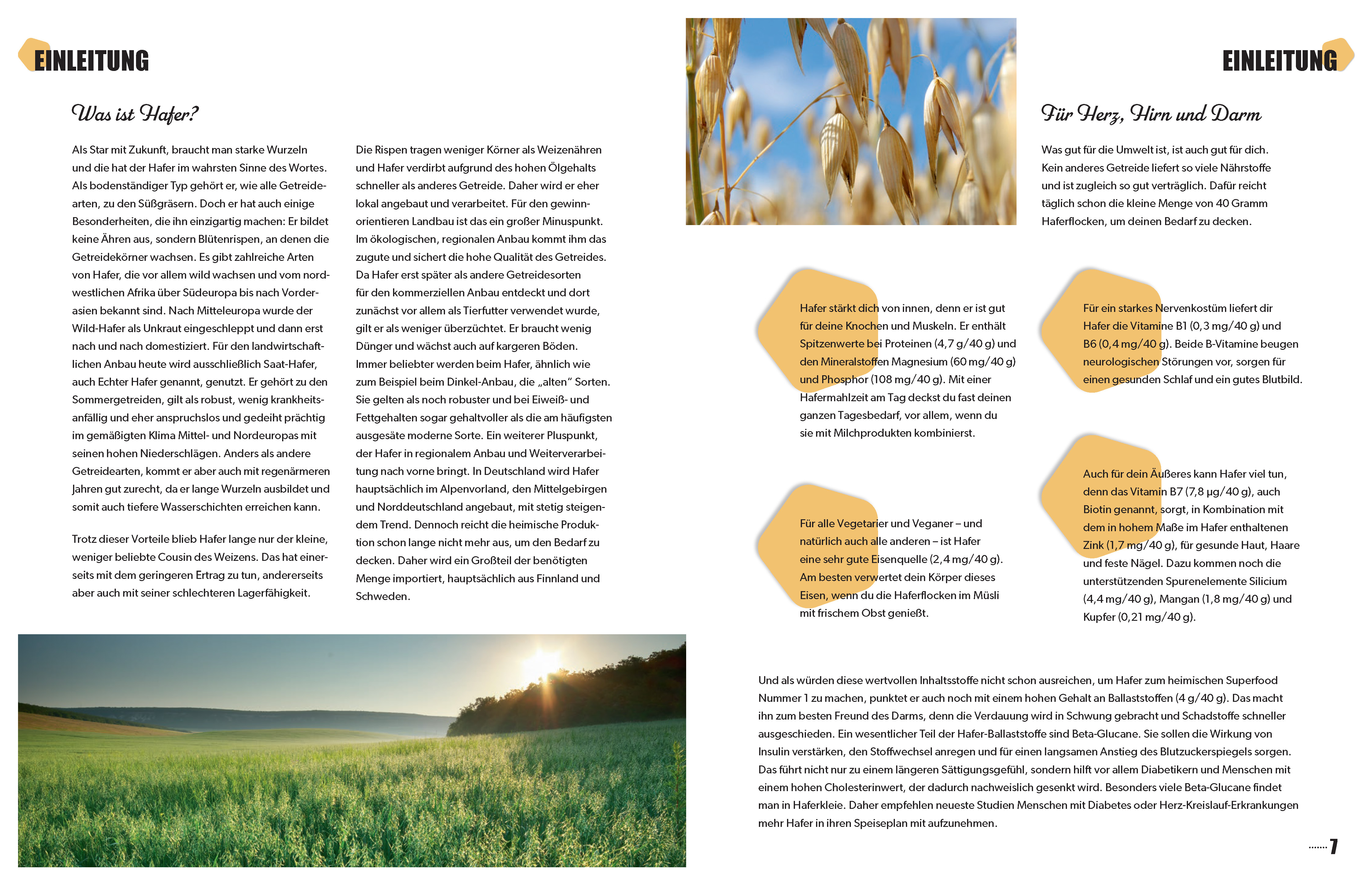 9783625192473_innenansicht_01 9783625192473_innenansicht_01.jpg