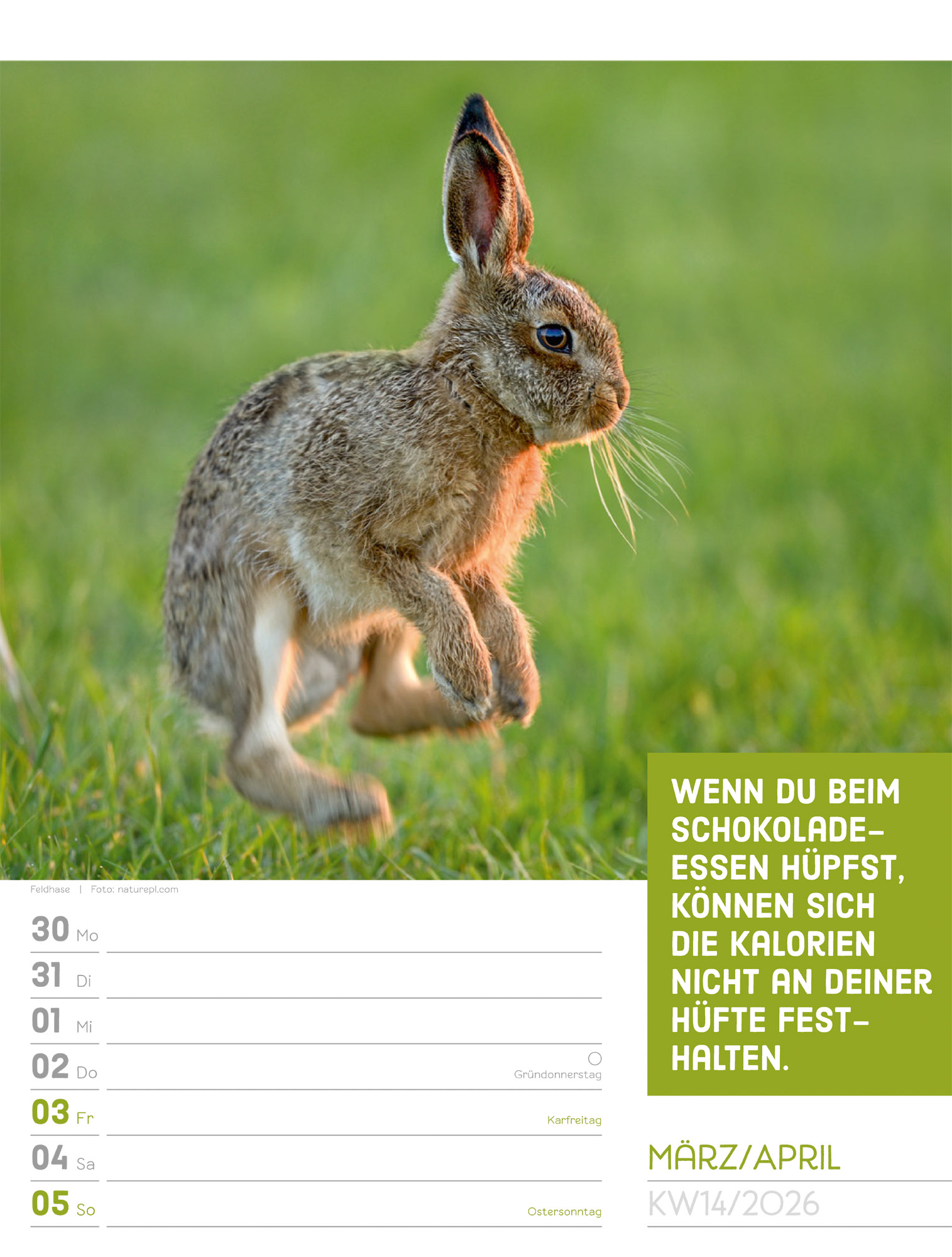 9783838426969_innenansicht_17.jpg