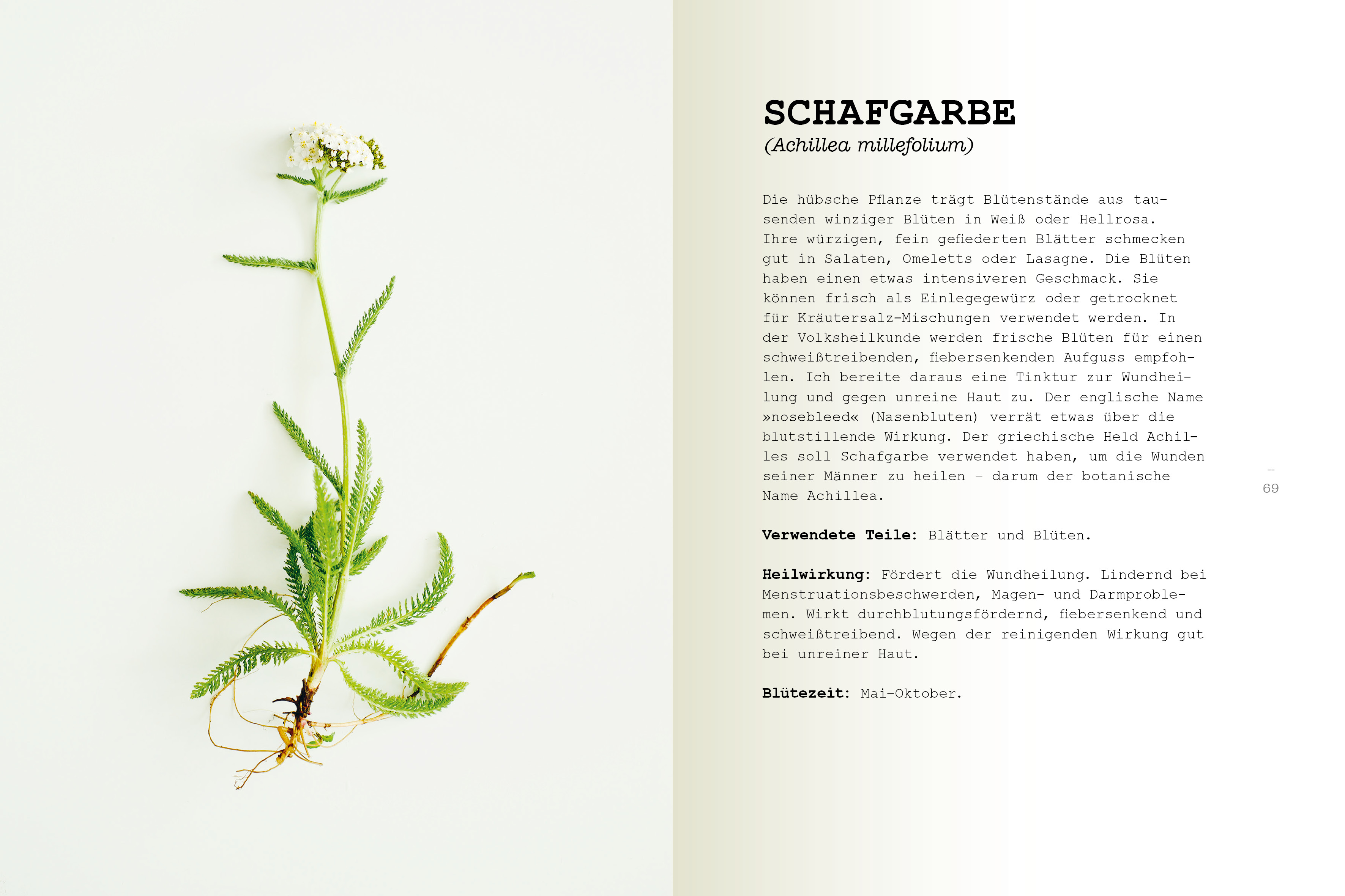 9783517098470_innenansicht_01 9783517098470_innenansicht_01.jpg