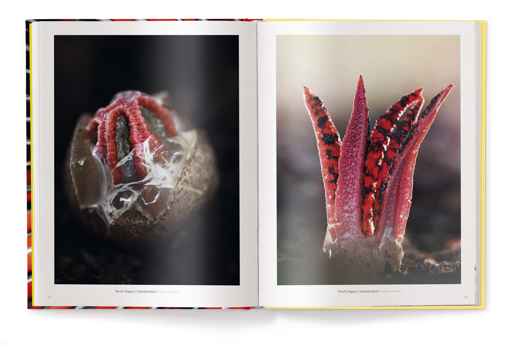 9783961715107_innenansicht_05 9783961715107_innenansicht_05.jpg