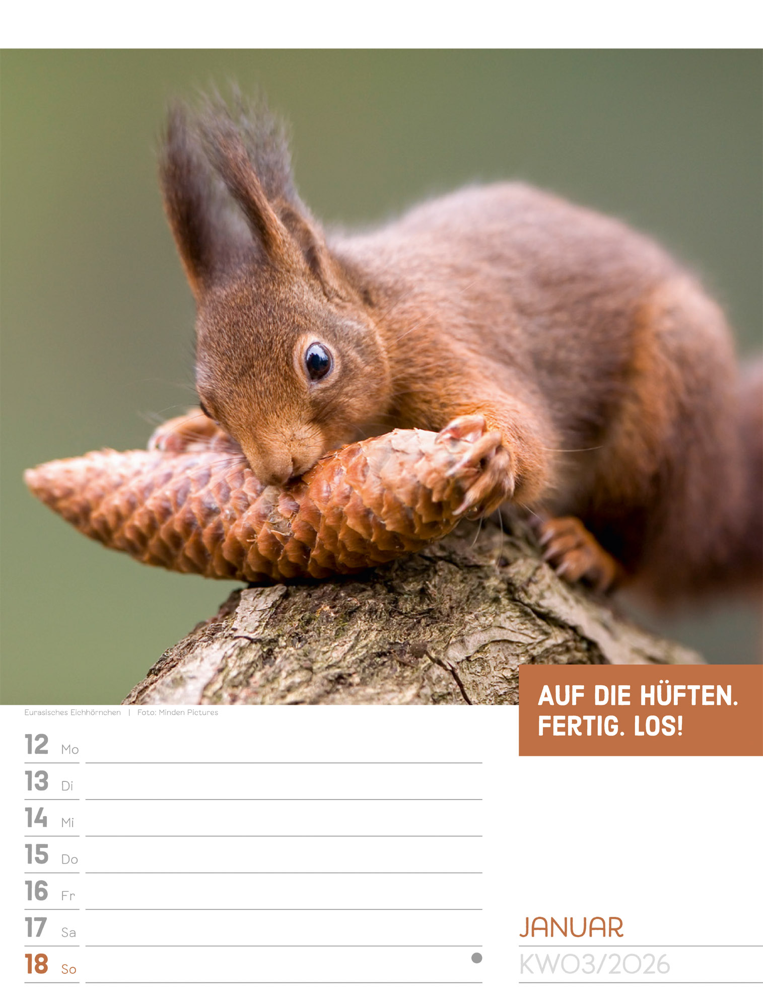 9783838426969_innenansicht_05 9783838426969_innenansicht_05.jpg