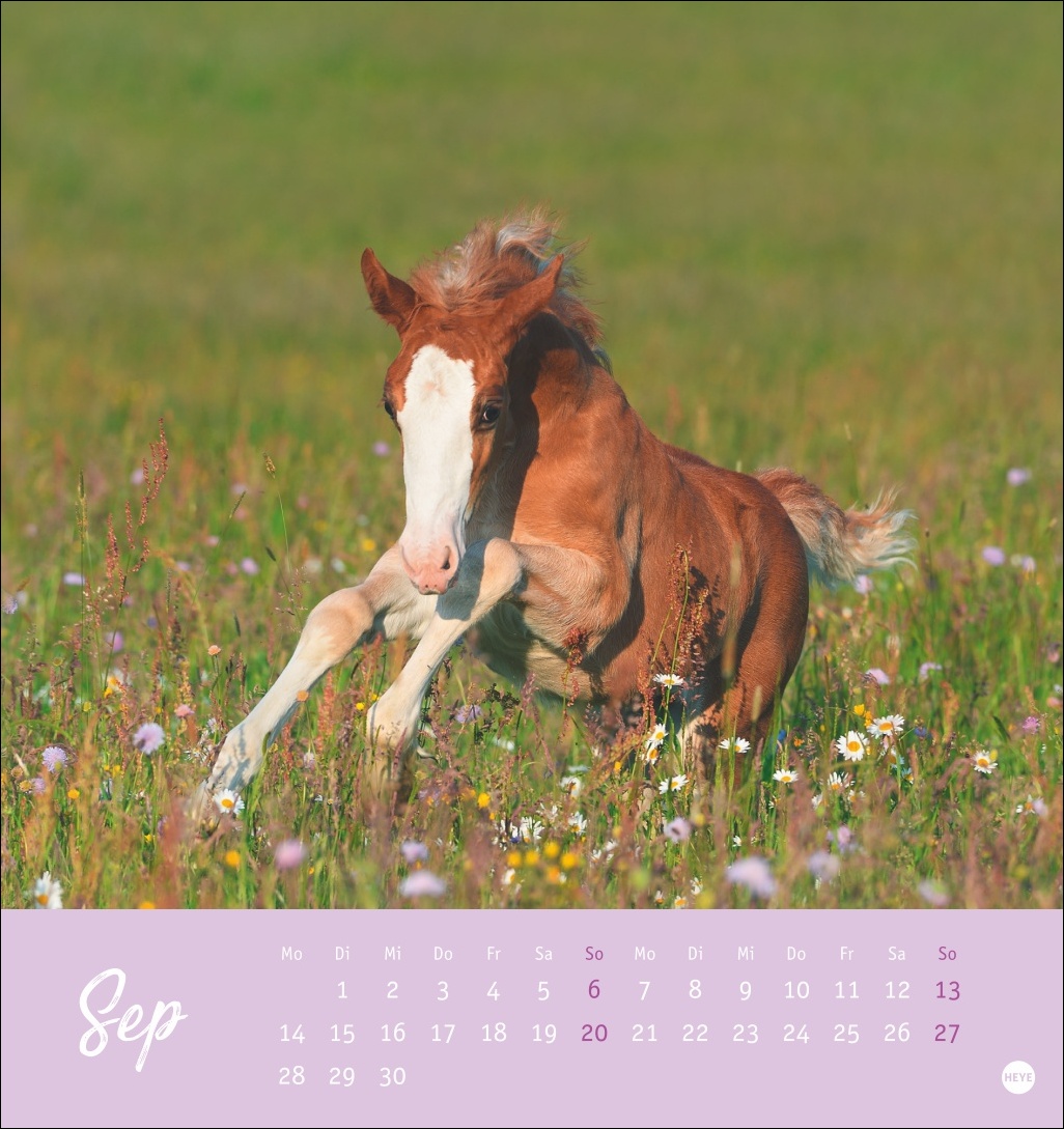 9783756410477_innenansicht_09 9783756410477_innenansicht_09.jpg