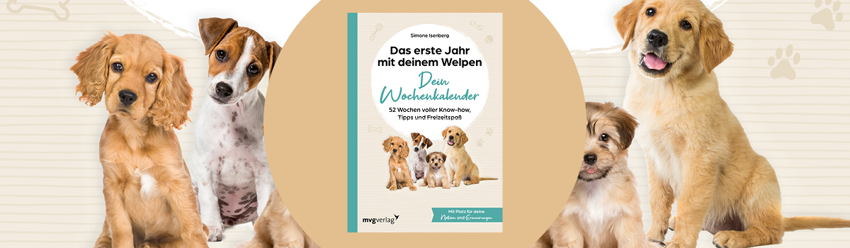 9783747406908_buehnenbild.jpg