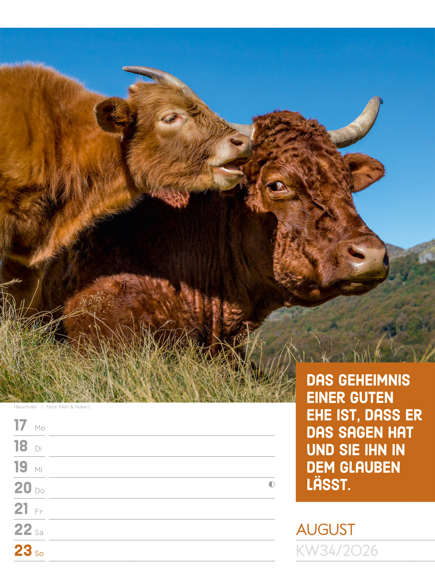 9783838426969_innenansicht_37 9783838426969_innenansicht_37.jpg