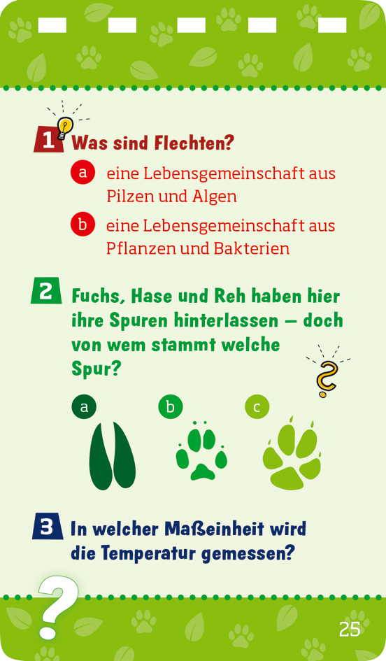 9783788677763_innenansicht_05.jpg