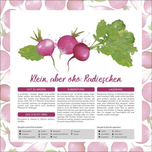 9783731886563_innenansicht_05.jpg