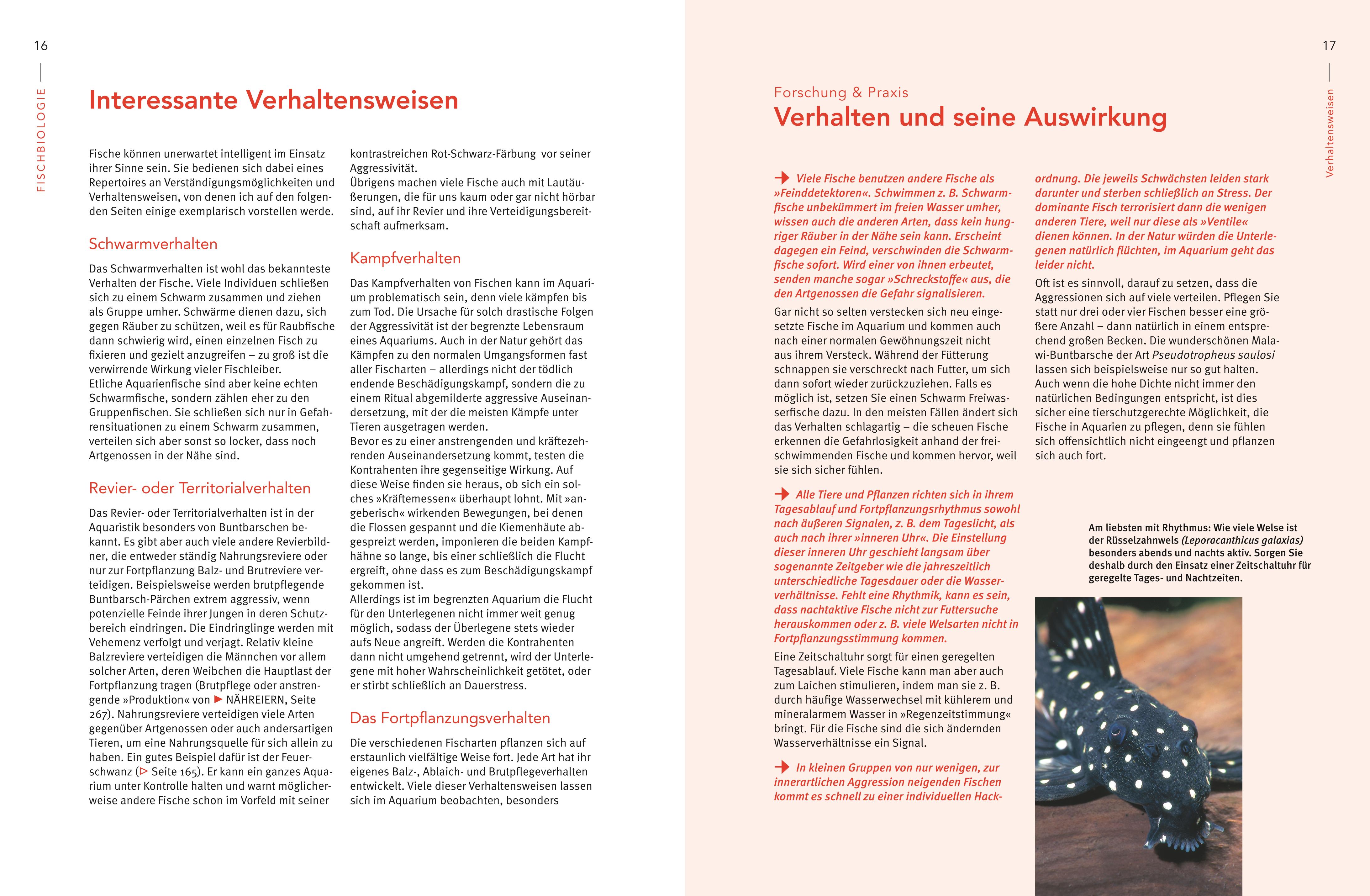 9783833861390_innenansicht_03.jpg