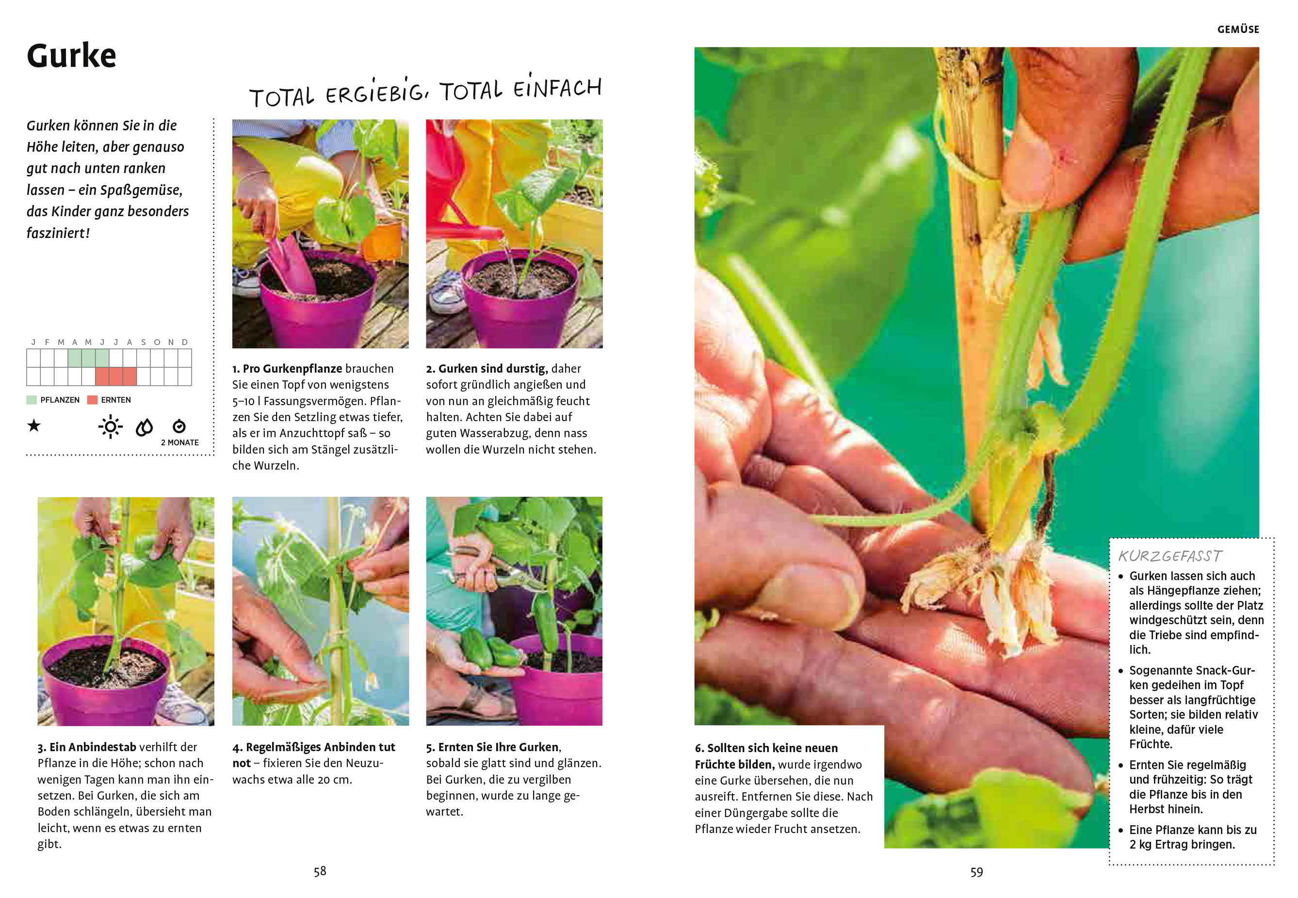 9783818610289_innenansicht_04 9783818610289_innenansicht_04.jpg