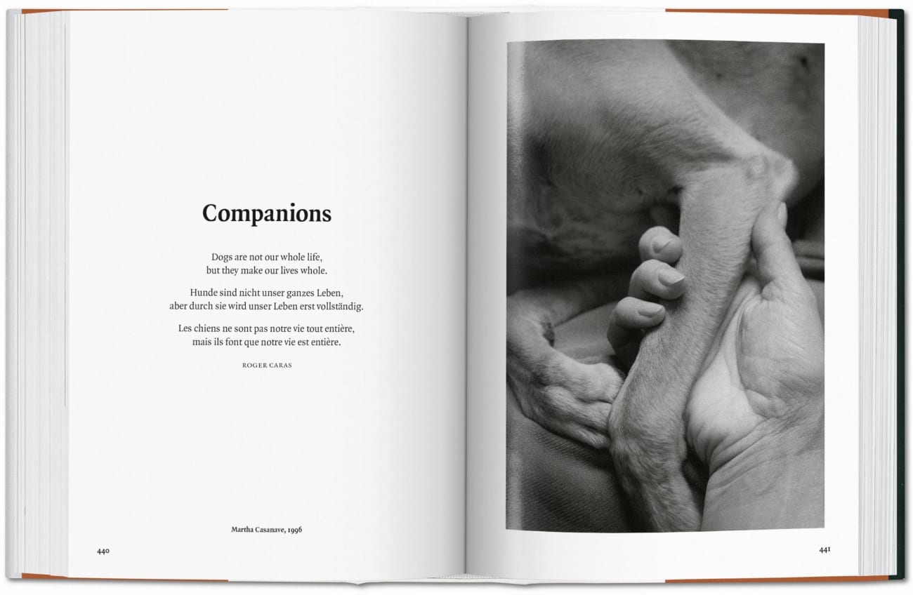 9783836567473_innenansicht_08 9783836567473_innenansicht_08.jpg