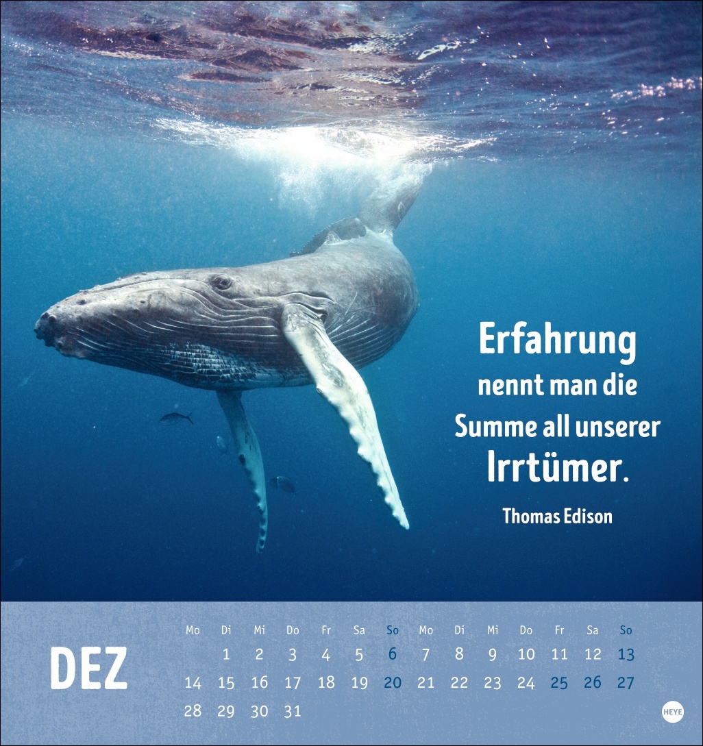 9783756413522_innenansicht_12.jpg